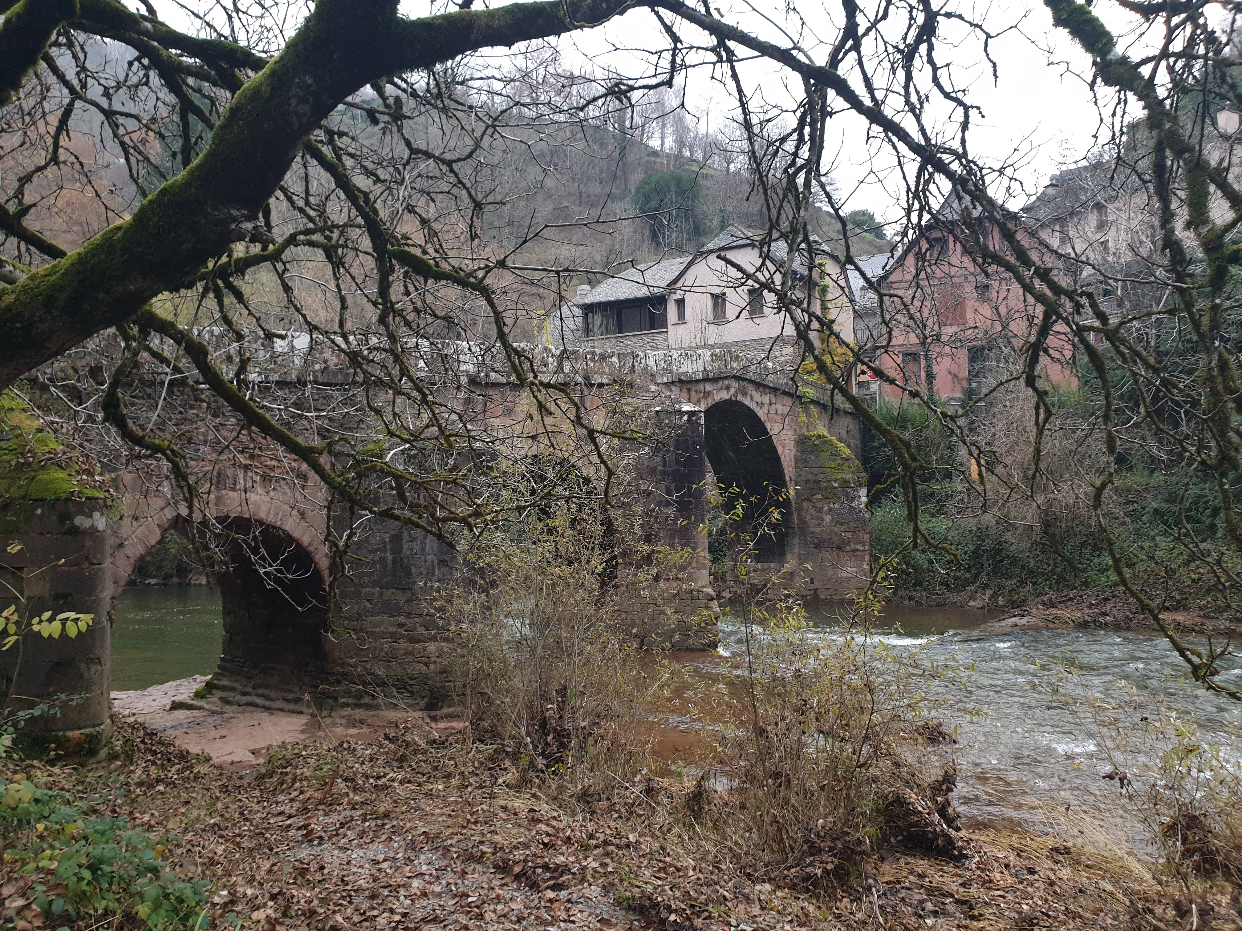 Photo n° 2 de l'avis de Jorge. fait le 28/12/2020 à 16:35