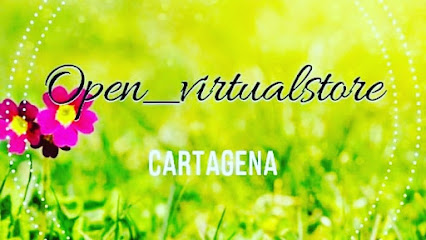 Open Virtual Store