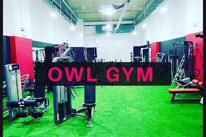 Owl Gym image