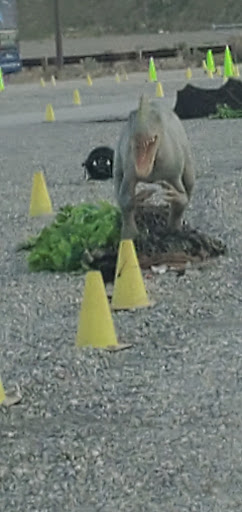 Amphitheater «USANA Amphitheatre», reviews and photos, 5150 S 6055 W, West Valley City, UT 84118, USA