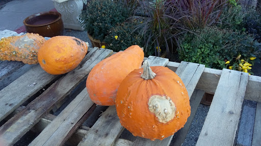 Hardware Store «Westlake Ace Hardware», reviews and photos, 415 US-24, Independence, MO 64050, USA