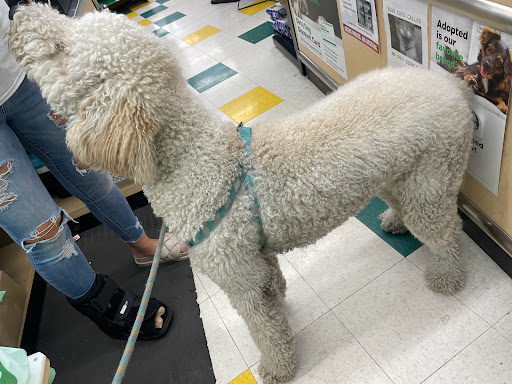 Pet Supply Store «Pet Supplies Plus», reviews and photos, 180 N Randall Rd, North Aurora, IL 60542, USA