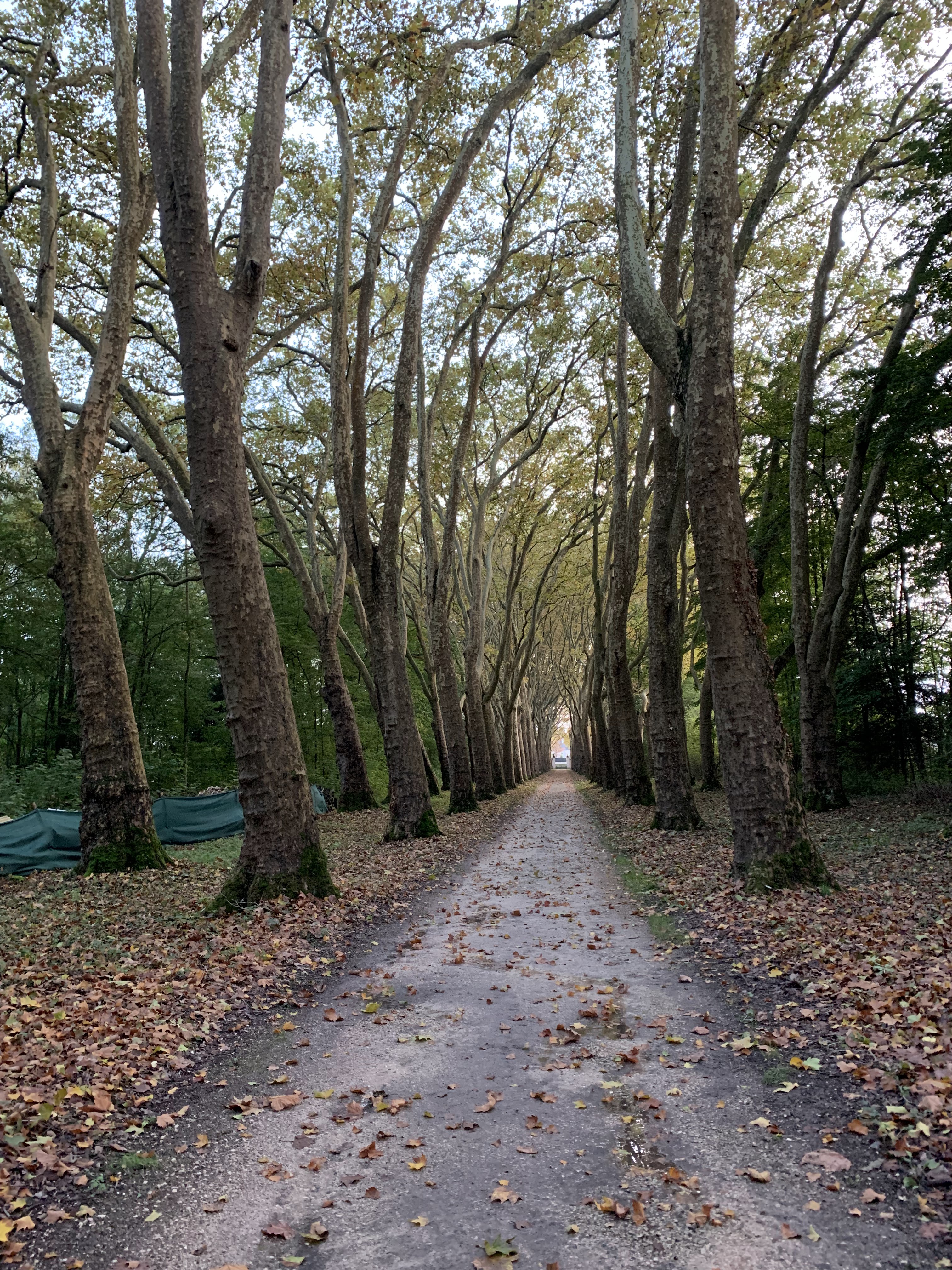 Photo n° 3 de l'avis de Allison.o fait le 28/11/2023 à 09:41