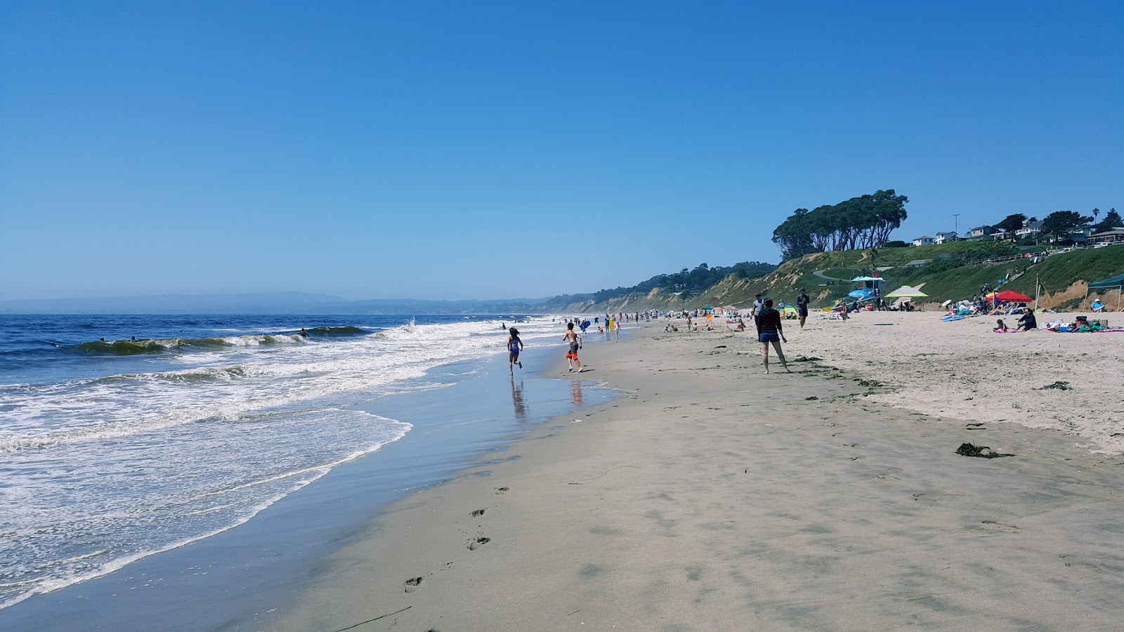 Photo of Manresa Beach with very clean level of cleanliness
