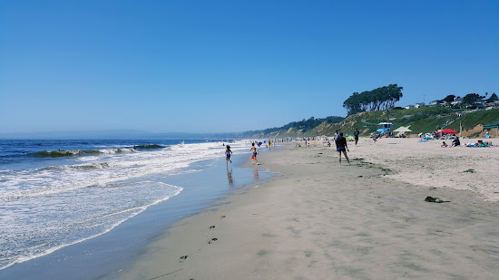Manresa Beach