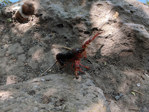 Amusement Park «Small World Park», reviews and photos, 2551 Harbor St, Pittsburg, CA 94565, USA