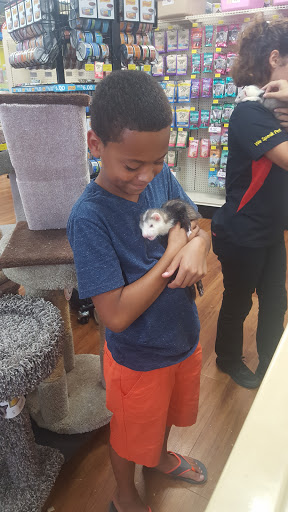 Pet Supply Store «Pet Supermarket», reviews and photos, 2924 13th St, St Cloud, FL 34769, USA