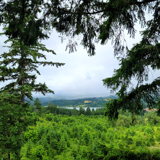 Tourist Attraction «Tree to Tree Adventure Park», reviews and photos, 2975 SW Nelson Rd, Gaston, OR 97119, USA