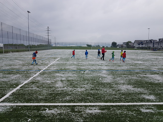 Kunstrasen FC Hünenberg