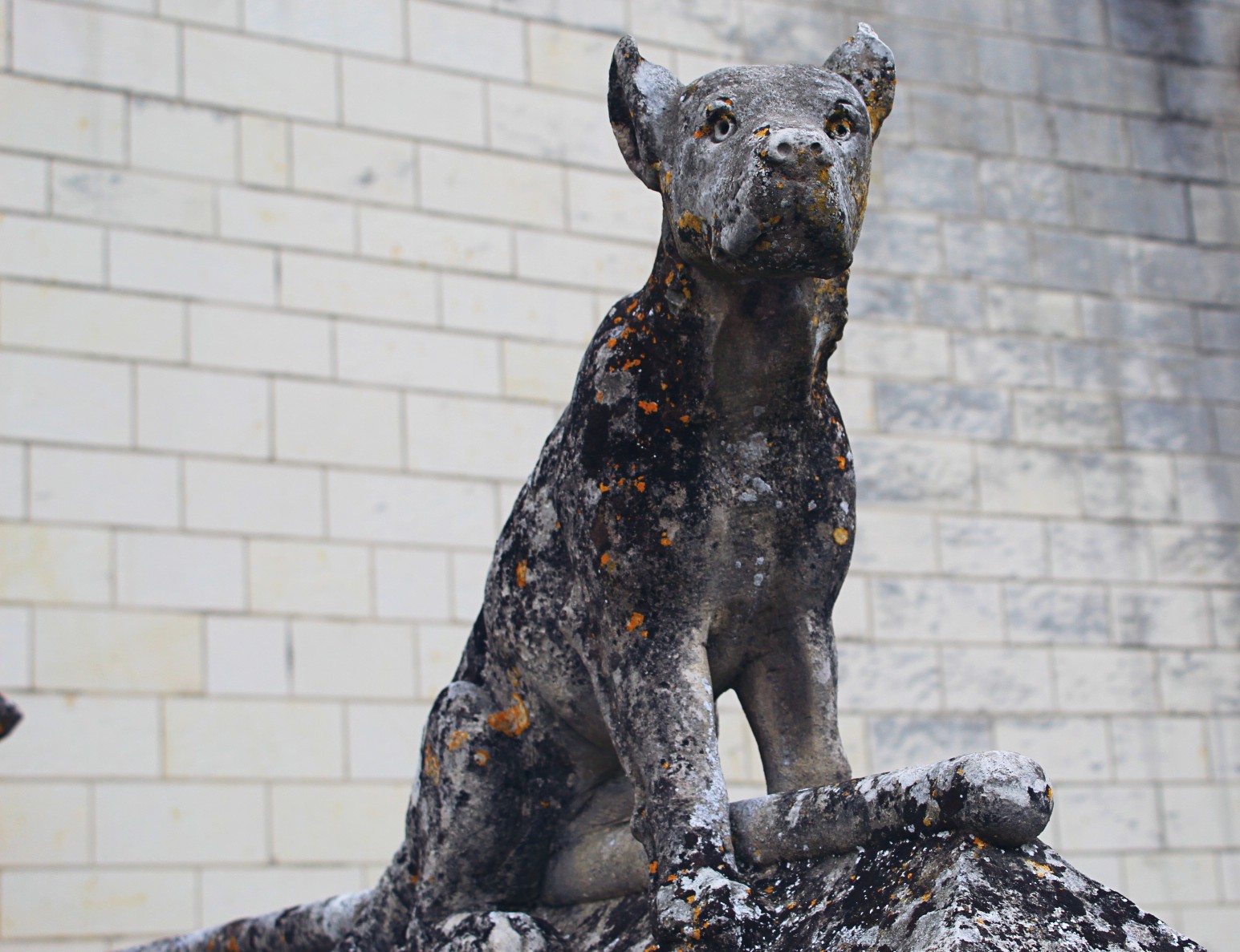 Photo n° 3 de l'avis de Marion.r fait le 19/03/2018 à 20:50