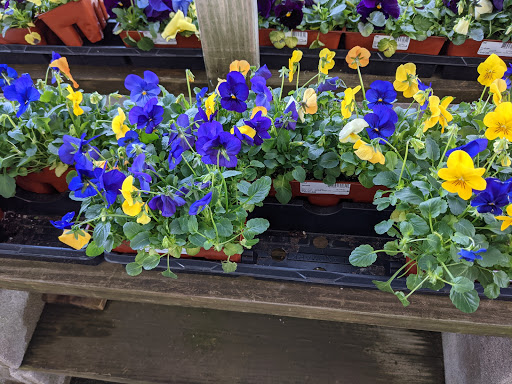 Home Improvement Store «Menards», reviews and photos, 3800 National Rd E, Richmond, IN 47374, USA