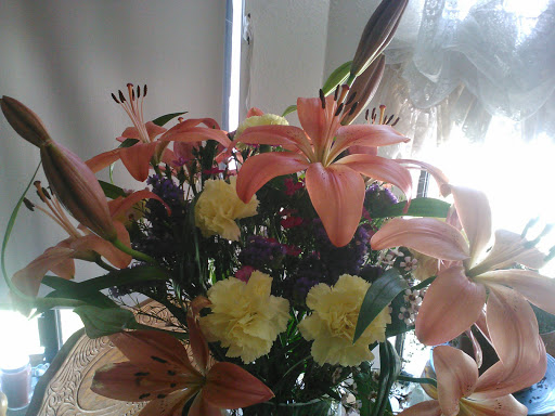 Indian Restaurant «Red Chillies», reviews and photos, 167 S Main St, Milpitas, CA 95035, USA