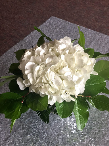 Florist «Flowers By Jesse», reviews and photos, 208 E Jackson Ave, Harlingen, TX 78550, USA