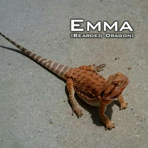 Insurance Agency «Wiglesworth-Rindom Insurance Agency», reviews and photos