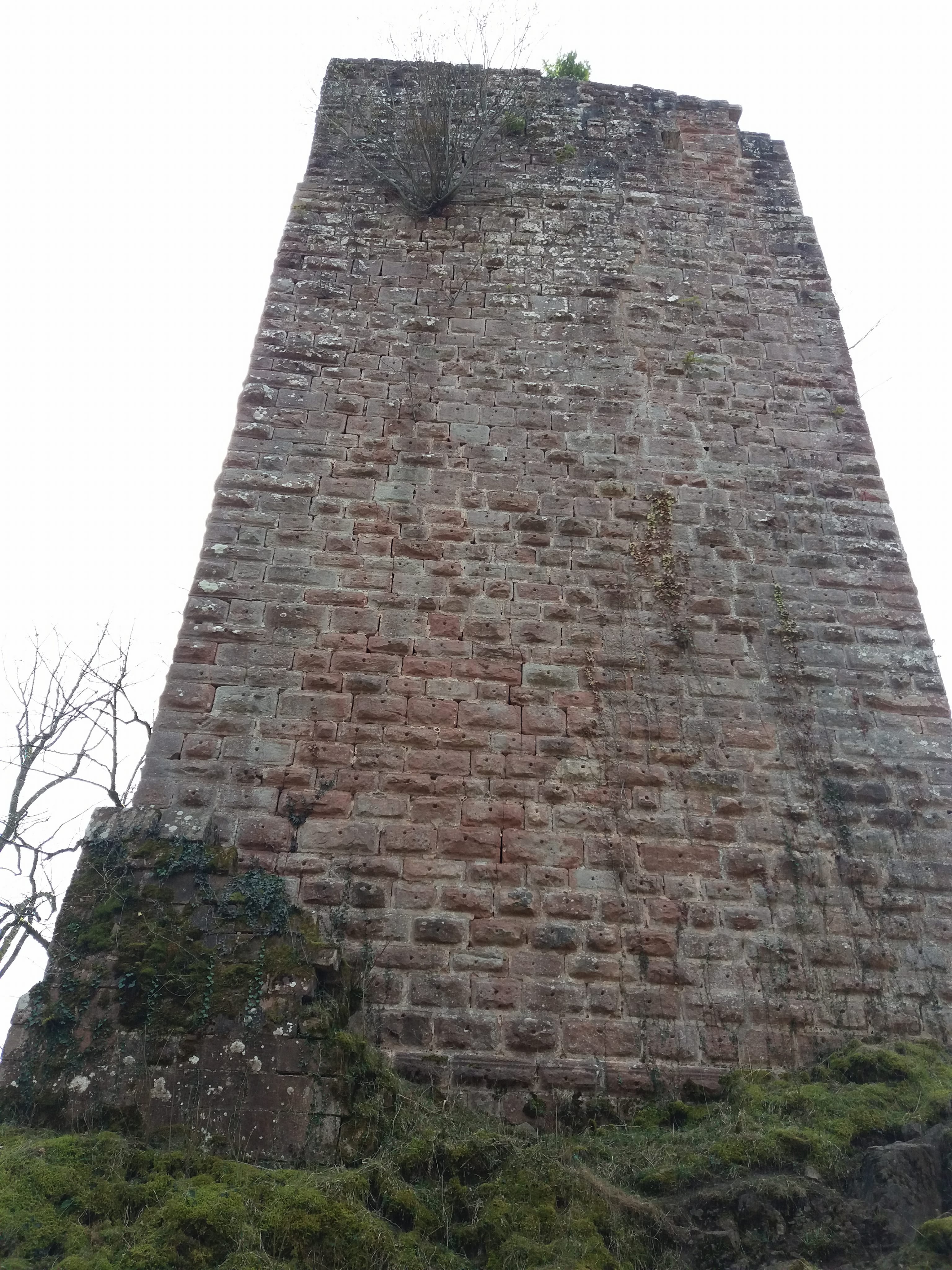 Photo n° 21 de l'avis de yann.a fait le 12/04/2018 à 05:08