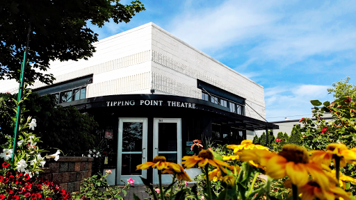 Performing Arts Theater «Tipping Point Theatre», reviews and photos, 361 E Cady St, Northville, MI 48167, USA