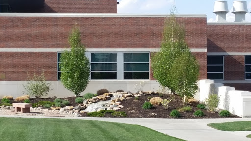 College «Union College», reviews and photos