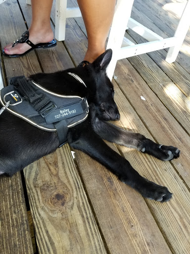 Shopping Mall «Periwinkle Place», reviews and photos, 2075 Periwinkle Way, Sanibel, FL 33957, USA