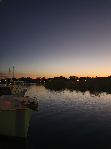 Aquarium «Aquarium Tarpon Springs», reviews and photos, 850 Dodecanese Blvd, Tarpon Springs, FL 34689, USA