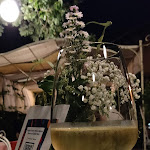 Photo n°1 de l'avis de mOnIa.A fait le 15/09/2020 à 13:06 sur le  Locanda Monte Chervano à Ramiola