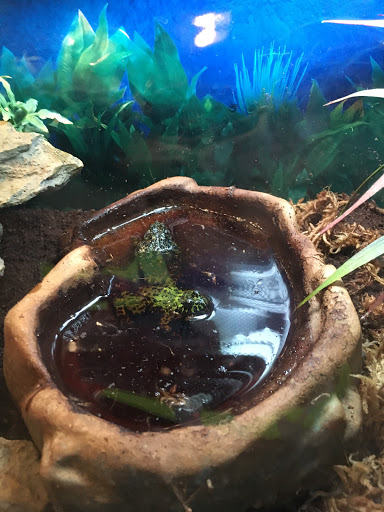 Pet Supply Store «Petco Animal Supplies», reviews and photos, 2210 N Eagle Rd, Meridian, ID 83646, USA