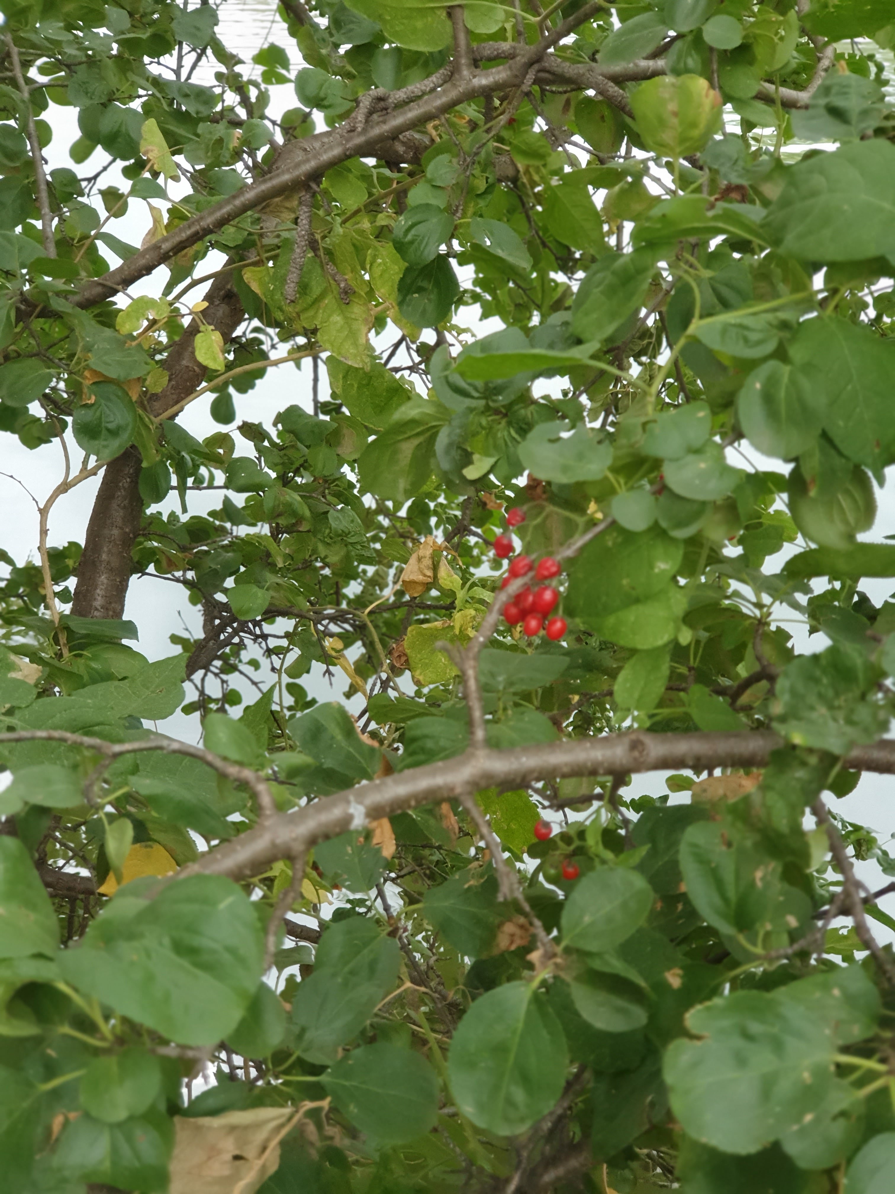 Photo n° 7 de l'avis de Audrey.o fait le 26/09/2020 à 12:46