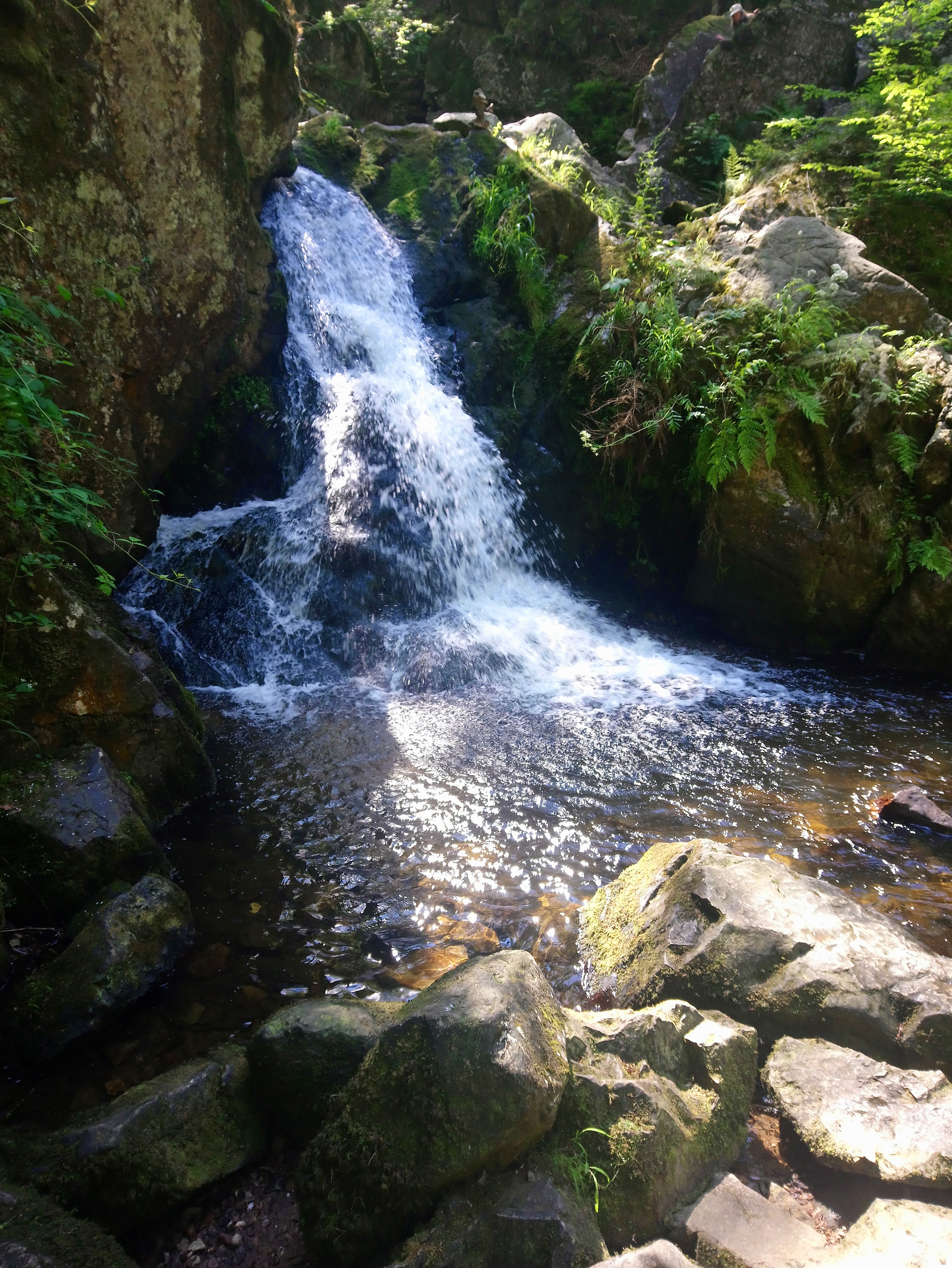 Photo n° 1 de l'avis de Ludivine.n fait le 24/07/2019 à 13:33