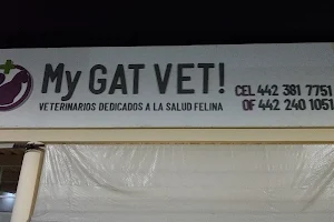 My GAT VET! image