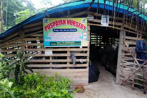 PUSPAYAN NURSERY (SOVAN MANDAL) image