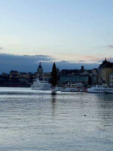 Tullhuset, Blasieholmen, Albert Ranfts Torg, 111 48 Stockholm
