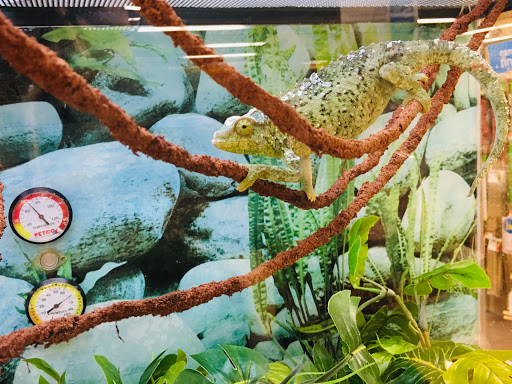 Pet Supply Store «Petco Animal Supplies», reviews and photos, 1391 NJ-35, Middletown, NJ 07748, USA