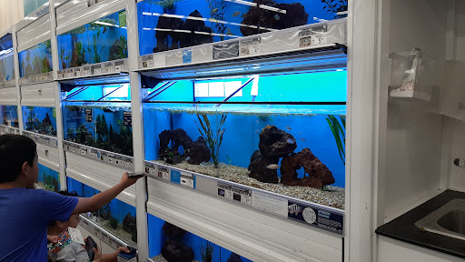 Pet Supply Store «Petco Animal Supplies», reviews and photos, 1570 Crater Lake Dr #300, Kennesaw, GA 30152, USA