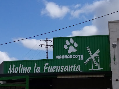 Maxmascota.com - Servicios para mascota en Murcia