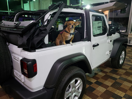 Car Dealer «Hanlees Chrysler Dodge Jeep Ram of Napa», reviews and photos, 333 Soscol Ave, Napa, CA 94559, USA