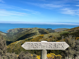 Tara Track
