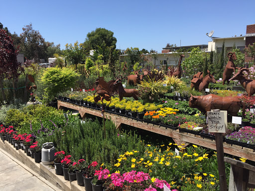 Florist «Cherry Lane Nursery», reviews and photos, 436 Traffic Way, Arroyo Grande, CA 93420, USA