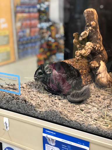 Pet Supply Store «PetSmart», reviews and photos, 45050 Northpointe Blvd, Utica, MI 48315, USA