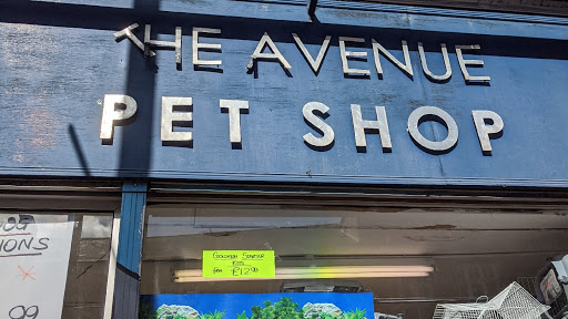 Avenue Pet Shop