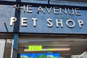 Avenue Pet Shop image