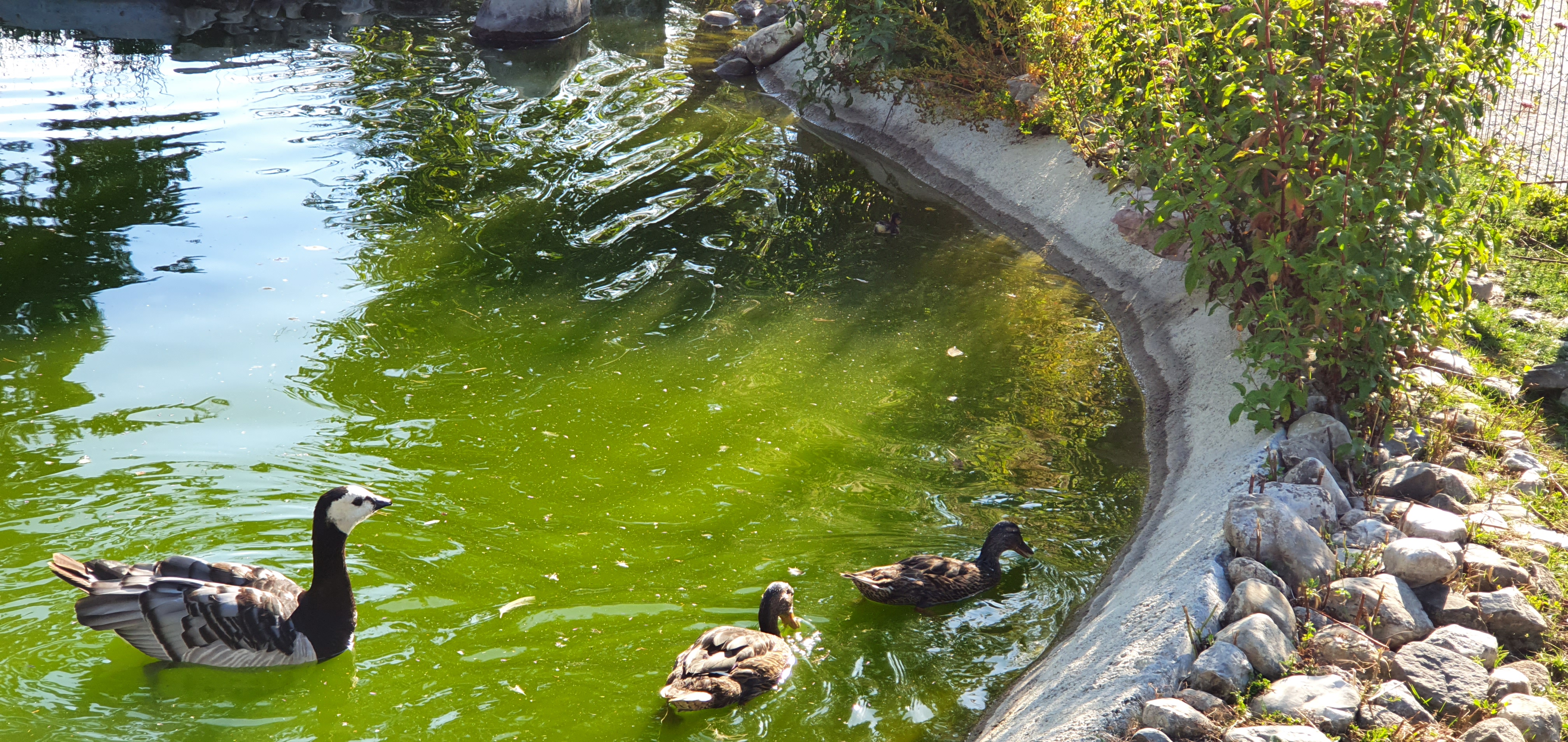 Photo n° 10 de l'avis de Alain.R fait le 30/08/2021 à 21:58
