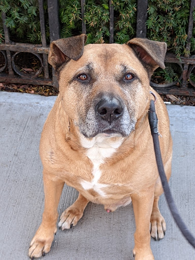 Park «Travers Park», reviews and photos, 76-9 34th Ave, Jackson Heights, NY 11372, USA