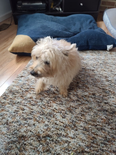 Pet Supply Store «PetSmart», reviews and photos, 300 Water Loop Ln, Collegeville, PA 19426, USA