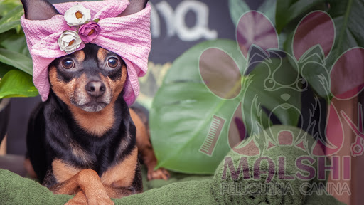 Malshi Spa canino pequeños tamaños.