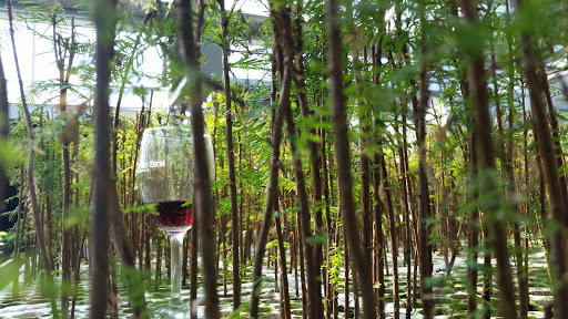 Farm «Arbor Day Farm», reviews and photos, 2611 Arbor Ave, Nebraska City, NE 68410, USA