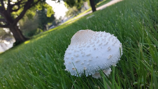 Park «Union Park», reviews and photos, 725 Thompson Ave, Des Moines, IA 50316, USA