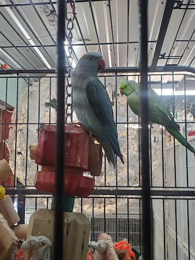 Pet Supply Store «Mini Ranch Feed Store», reviews and photos, 10103 Moursund Blvd, San Antonio, TX 78221, USA