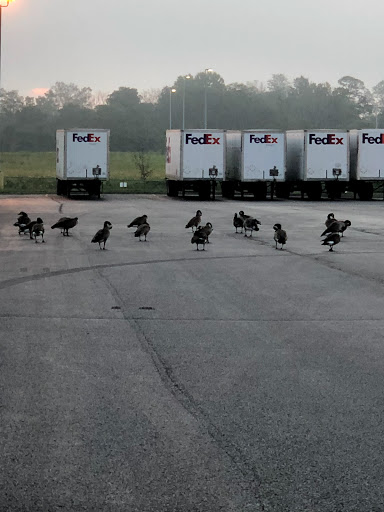 Mailing Service «FedEx Freight», reviews and photos, 1070 Fleet Ln, Independence, KY 41051, USA