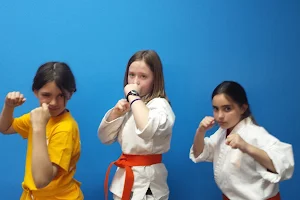 Next Level Karate image