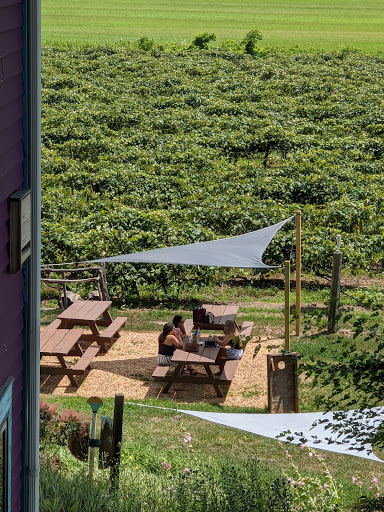 Winery «Inspire Moore Winery», reviews and photos, 197 N Main St, Naples, NY 14512, USA