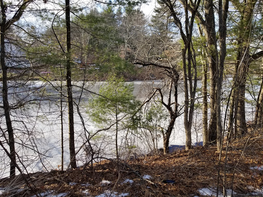 Park «Russell Mill Pond and Town Forest», reviews and photos, 105 Mill Rd, Chelmsford, MA 01824, USA